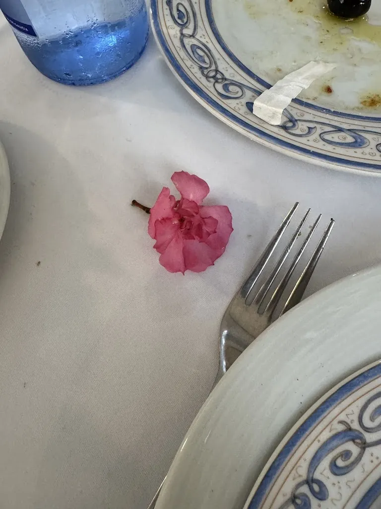 Anastasiia Valenko_Restaurante La Hacienda de Machado_Vigo_review