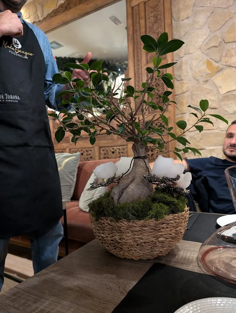 Mota_Restaurante Malasangre_Vigo_review