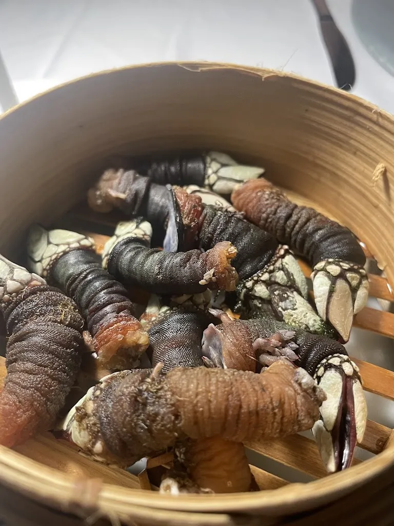 luiz simoes_El Mosquito vigo_Vigo_review