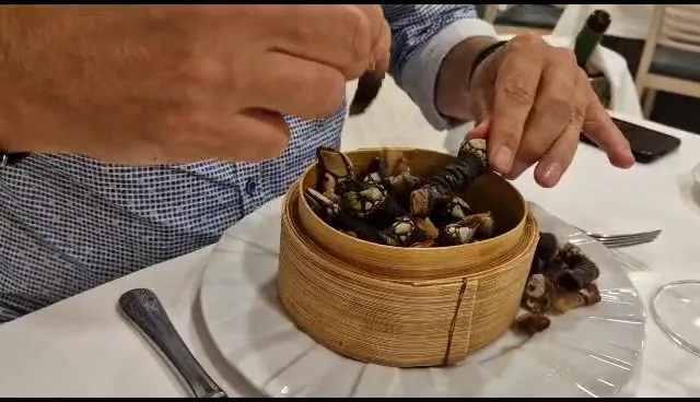 El Mosquito vigo_Vigo_slider_image_2