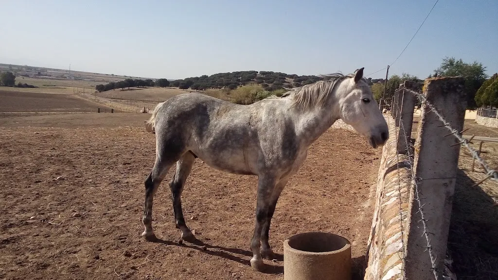 Finca de Castro Enríquez _Aldehuela de la Bóveda_slider_image_2