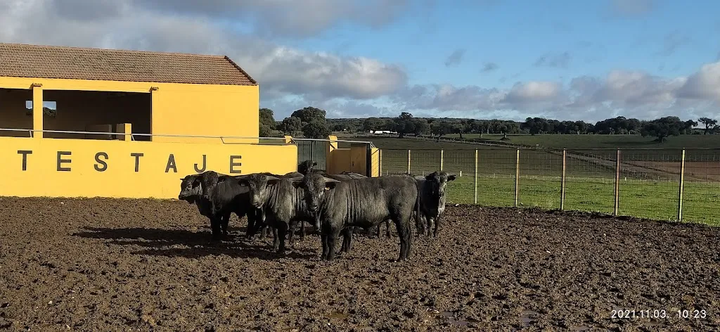 Finca de Castro Enríquez _Aldehuela de la Bóveda_slider_image_3