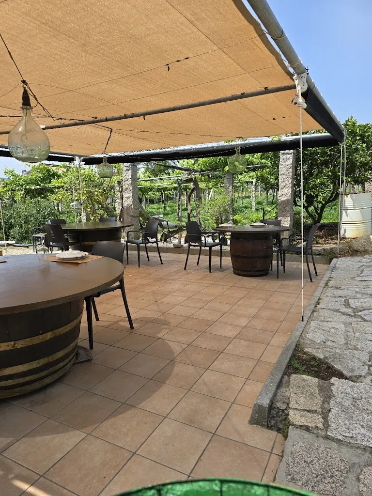 Allan Haze_Taberna Villalustre_Sanxenxo_review