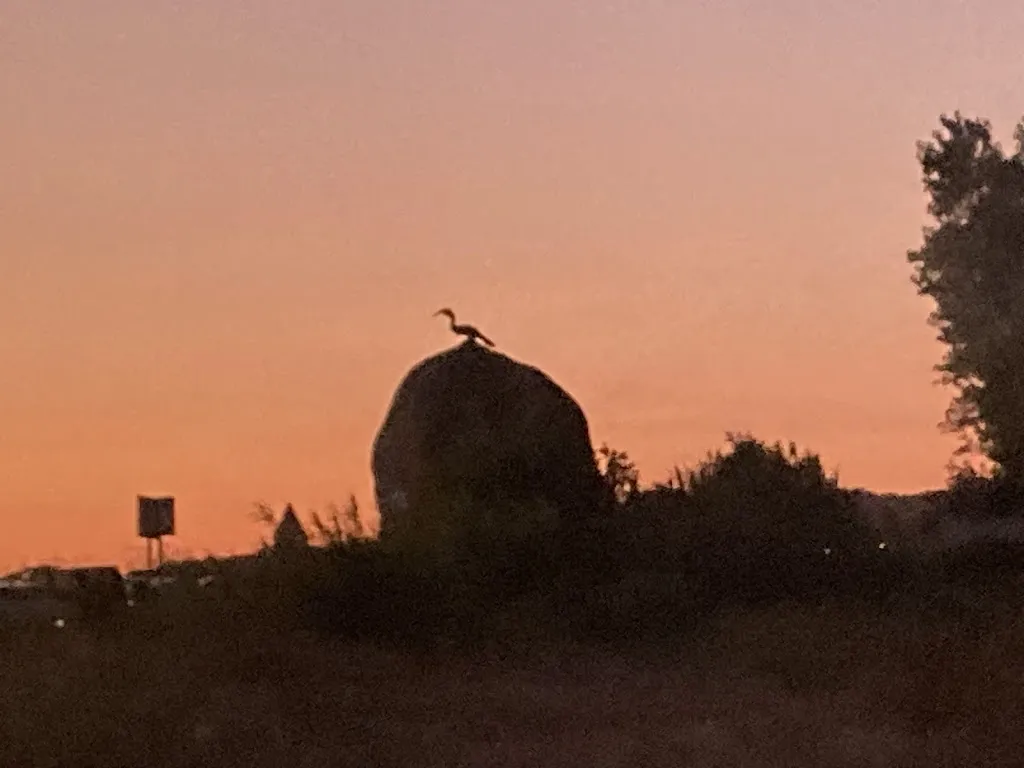 Aidan Murphy_Playa salvaje Sanxenxo Gastrobar_Sanxenxo_review