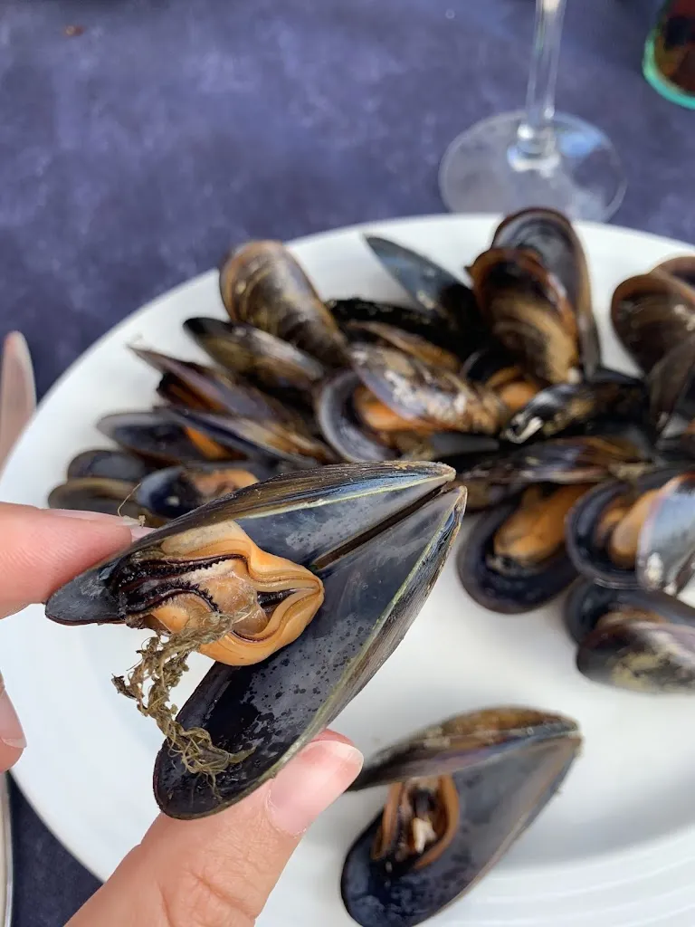 Mel_Restaurante Fidel en Sanxenxo_Sanxenxo_review