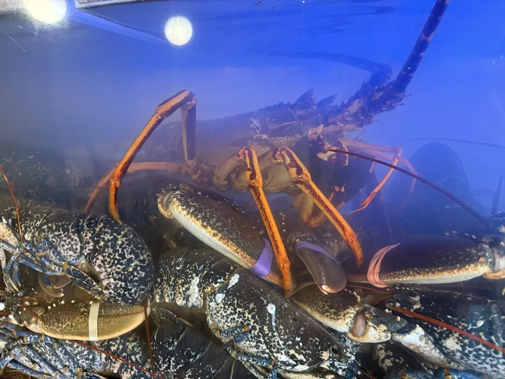 Paloma González Rodríguez_La Cala Sanxenxo_Sanxenxo_review