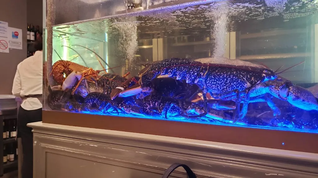 TheTimeDealer_Meson A Goleta_Sanxenxo_review