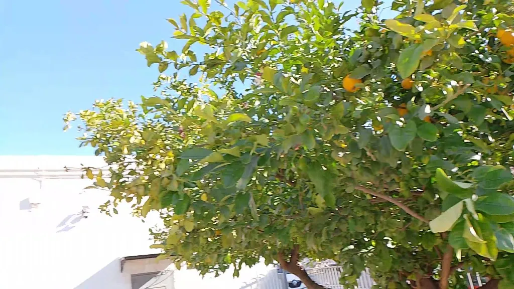 josé luis echezarreta echevarría_Restaurante Braseria El Río_Alboloduy_review