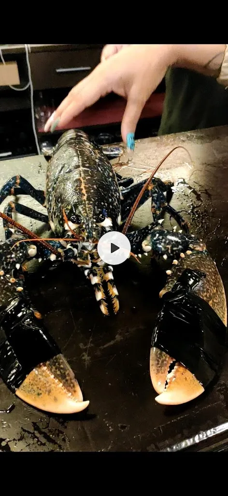 Menu_A D'Alfonso_Sanxenxo_image_1