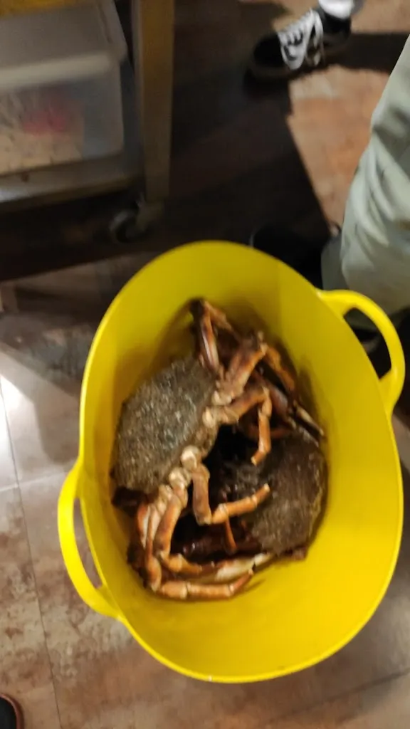 Menu_A D'Alfonso_Sanxenxo_image_8