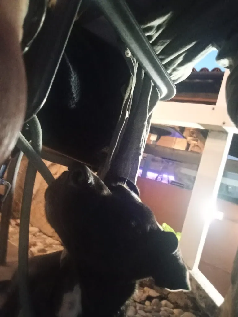 Andres Naranjo_O Forno Asador_Sanxenxo_review