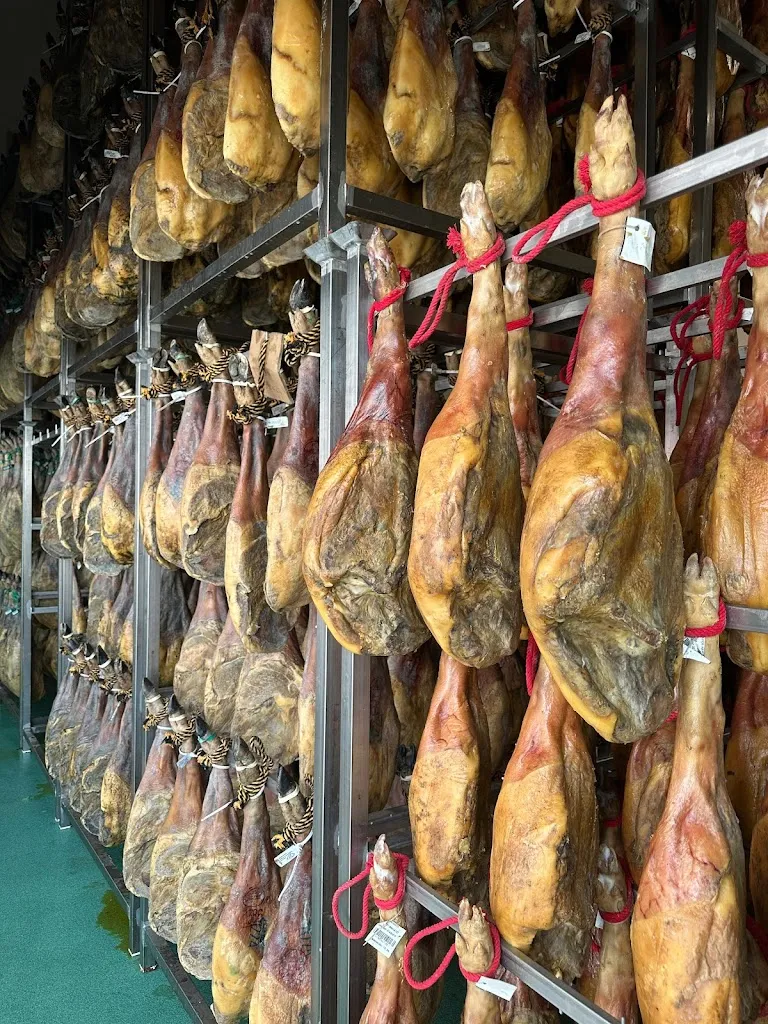 Silvia Pedraza Garcia_Espacio Hicarsa_Cabeza de Béjar La_review