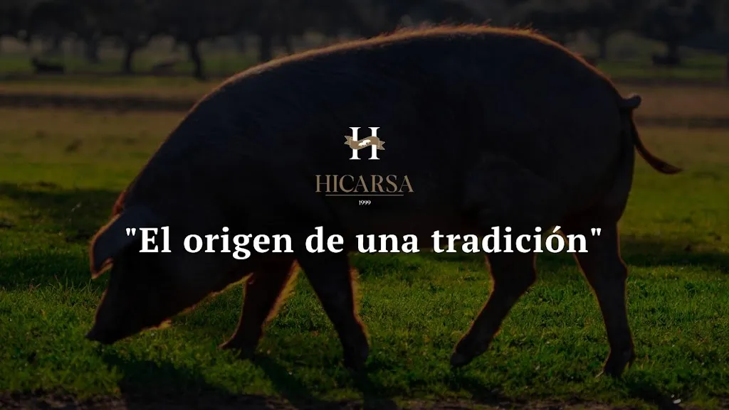 Espacio Hicarsa_Cabeza de Béjar La_slider_image_3