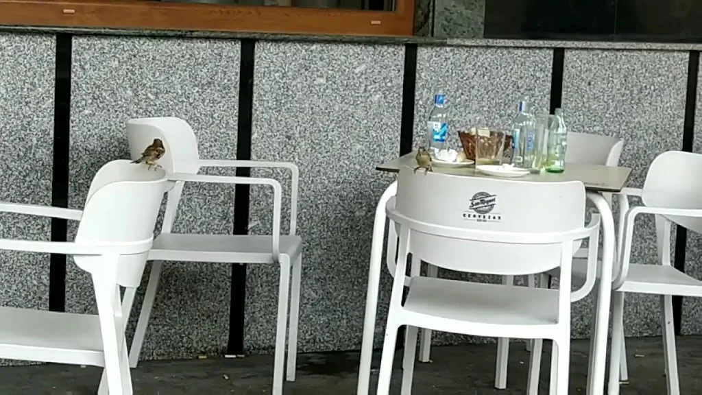 Mesón el Zurguén_Carbajosa de la Sagrada_slider_image_2