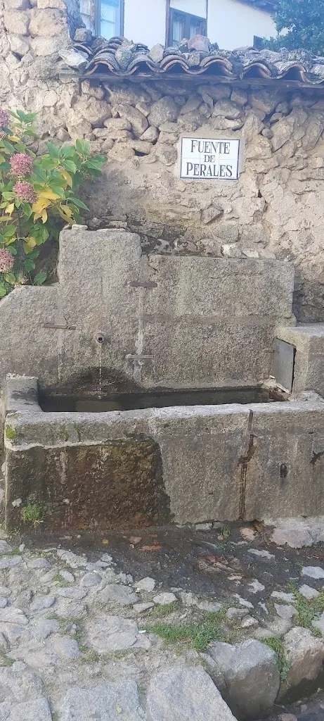 Jose Maria_Bodega La Regadera_Candelario_review