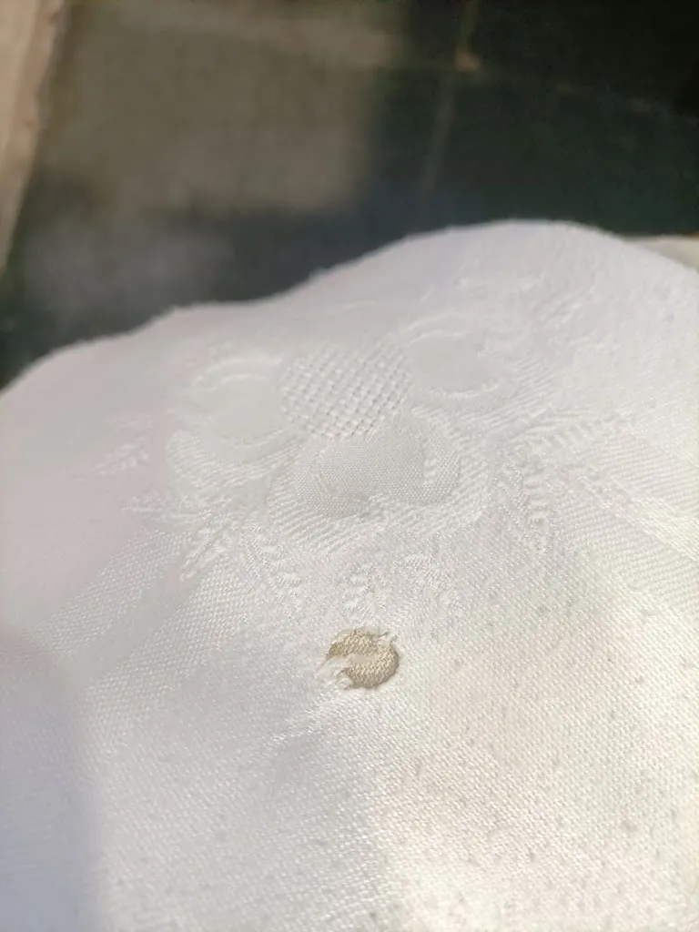 Jose R-Z_La Encina_Campo de Peñaranda El_review