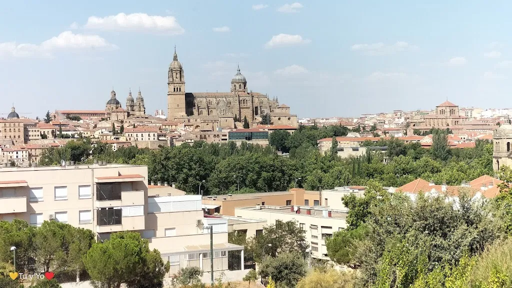 Restaurante Bracamonte_Campo de Peñaranda El_slider_image_3