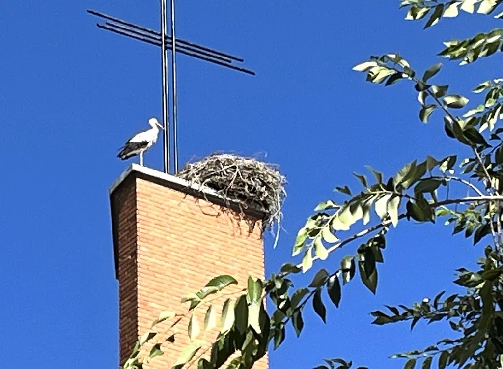 Mundo Kebab San Cristobal Madrid_Cristóbal_slider_image_3