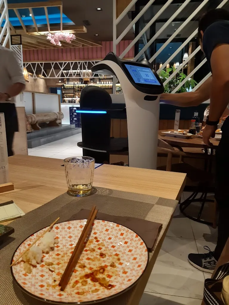 Rutas Afa_Sakura Pamplona_Cordovilla_review