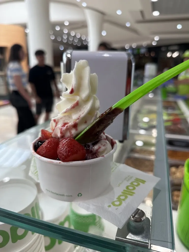 Nerea Regalado_llaollao_Cordovilla_review