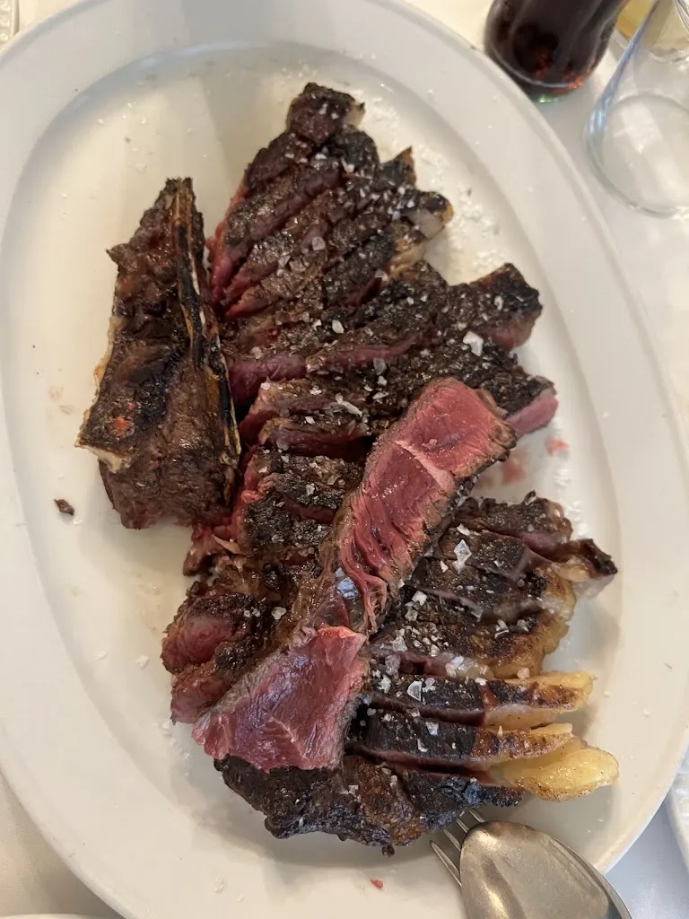 Dr Taha_Pelotari_Encina La_review