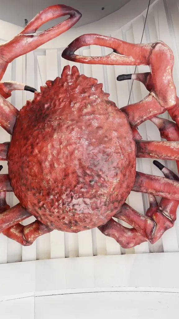 Menu_Running Sushi in Osaka_Fuente de San Esteban La_image_2