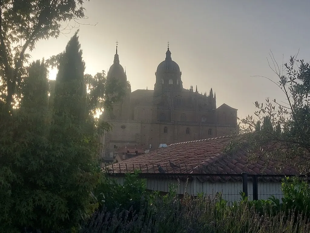 Silver Fox_La Huerta de San Esteban_Fuente de San Esteban La_review