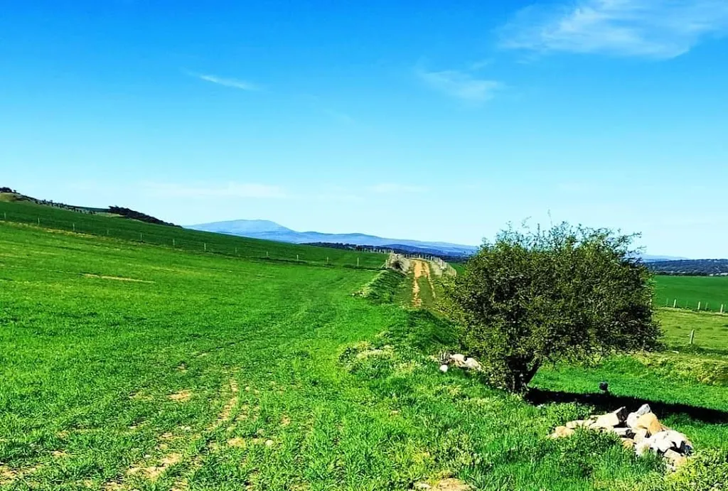 BAR López Moreta Andrés_Galinduste_slider_image_2