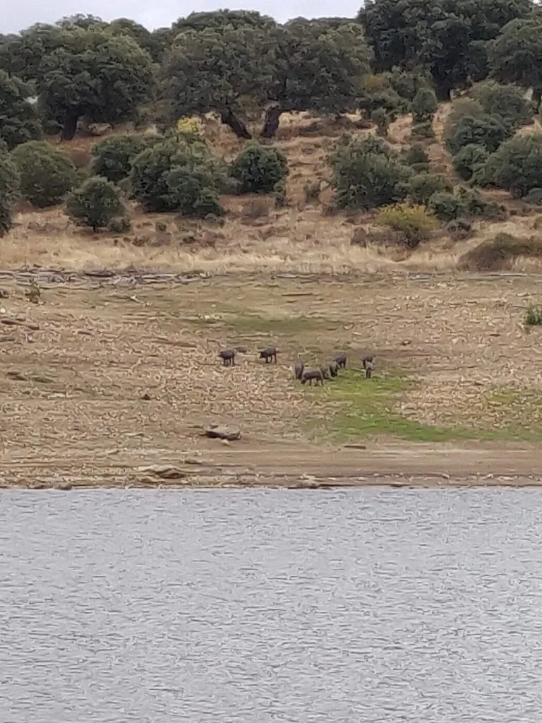Tienda restaurant in Guijo de Ávila
