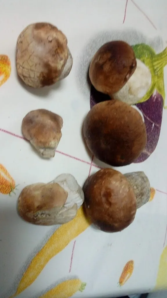 Menu_Bar pucela_Lagunilla_image_5