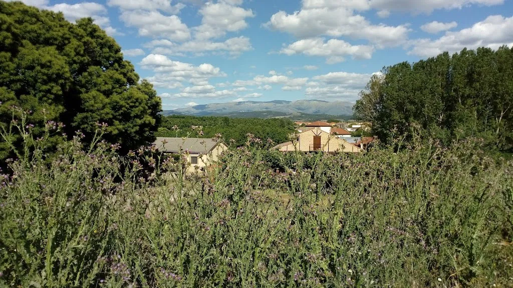 Bar pucela_Lagunilla_slider_image_3