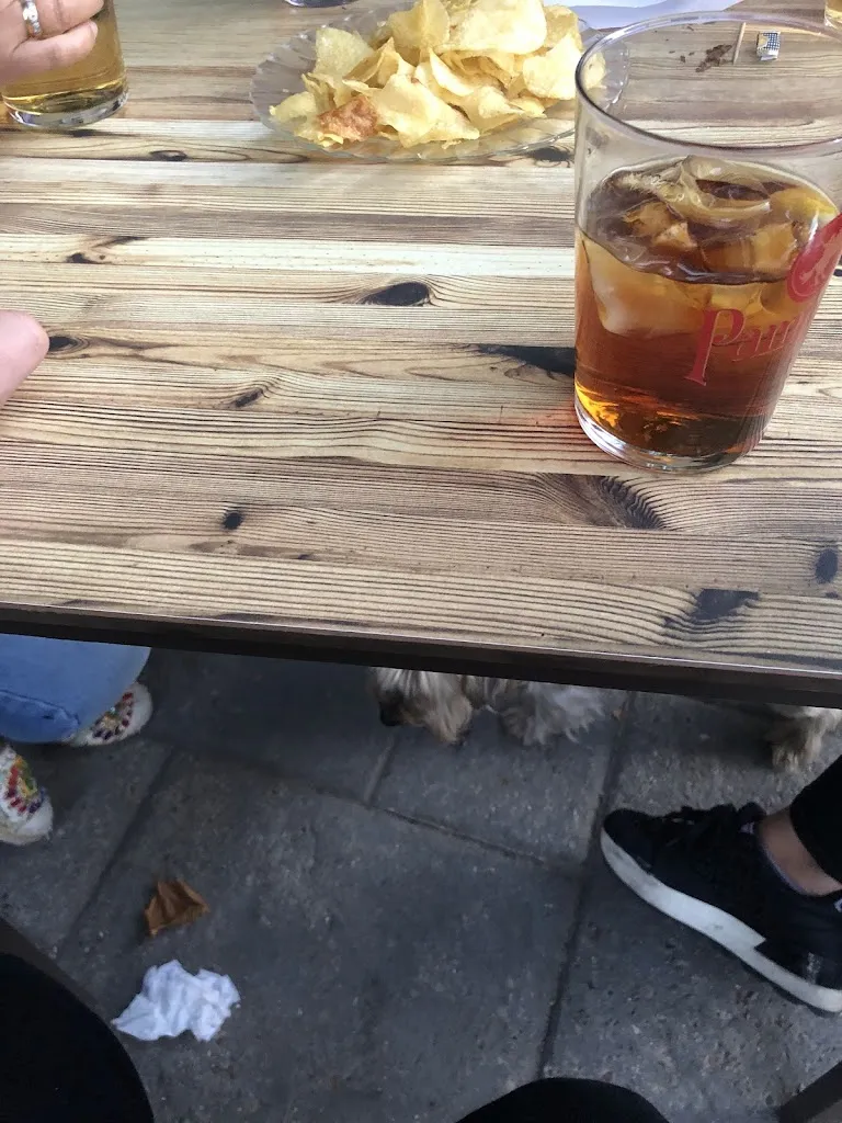 Shur Of brising_Florida Bar_Linares de Riofrío_review