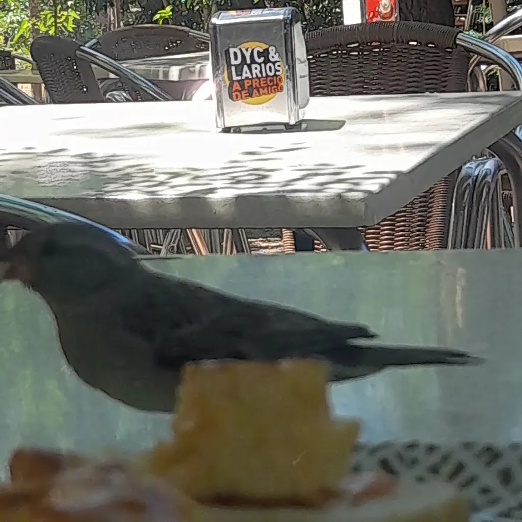 La Manzana Restaurante_Manzano El_slider_image_2