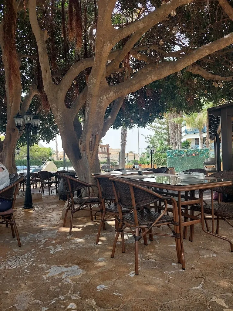 patrick bonetti_Yugo Garden_Torrevieja_review