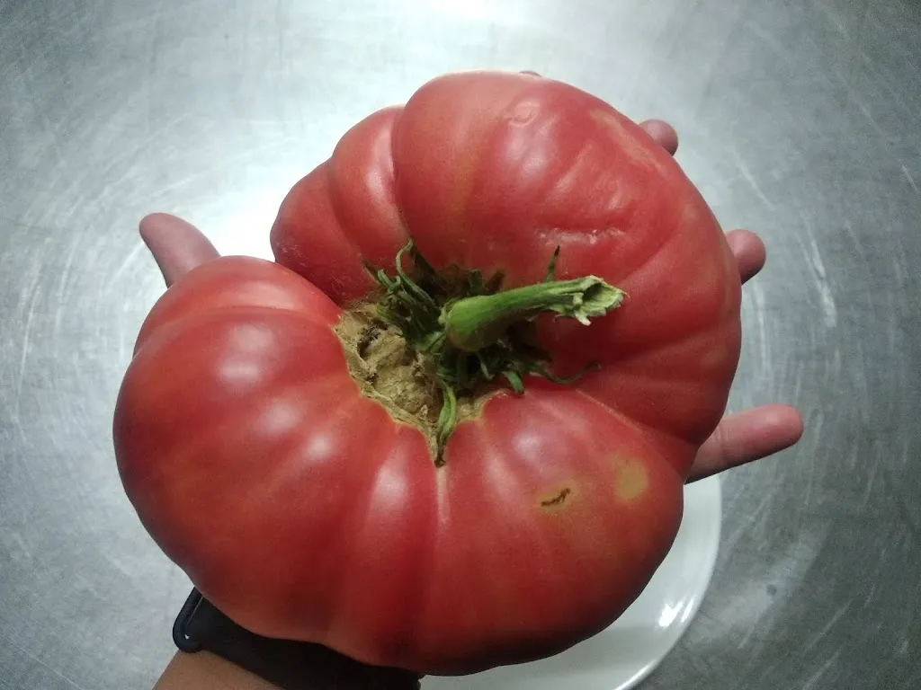 Menu_Restaurante Condado de Miranda_Miranda del Castañar_image_7