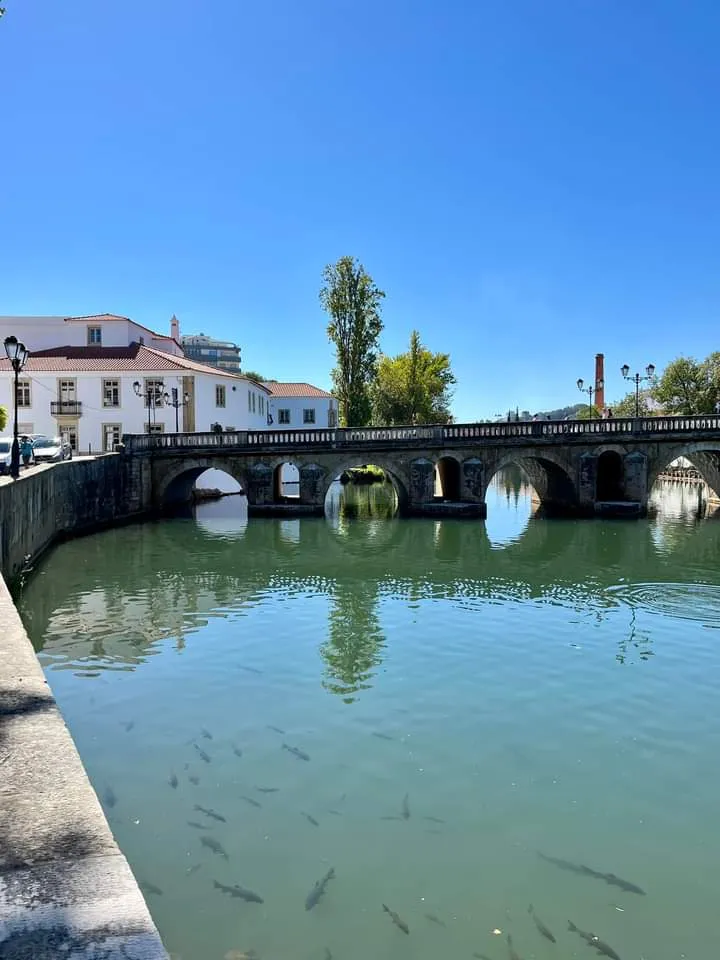 Bar Rincón de Paco_Narros de Matalayegua_slider_image_1