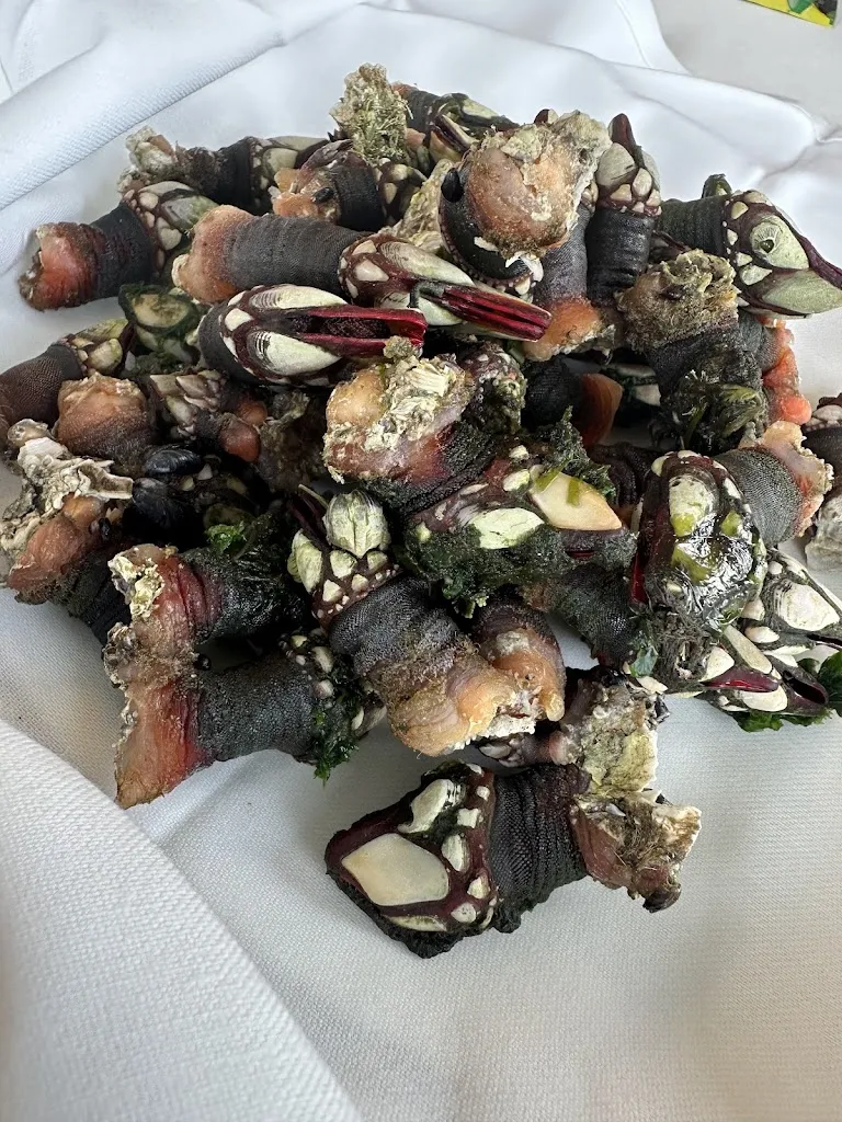 Nacho Alvarez Macías_Restaurante Casa Juanito_Carral_review