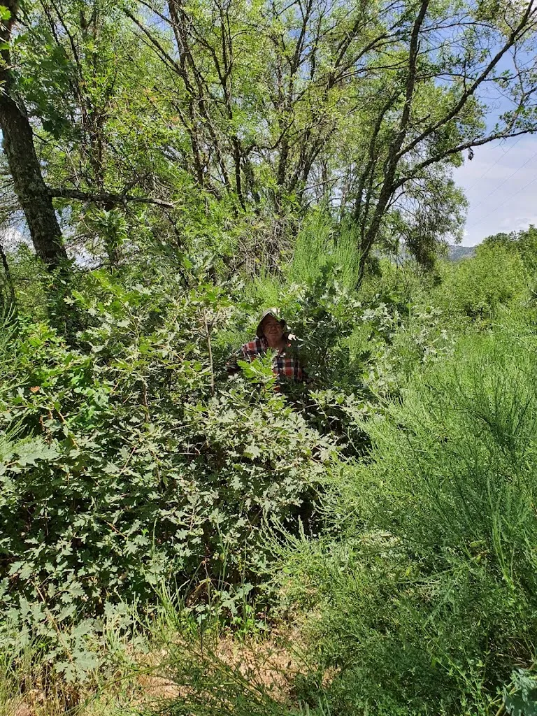 José Luis Zarazaga Pérez_Bar La Taberna_Navalmoral de Béjar_recensione