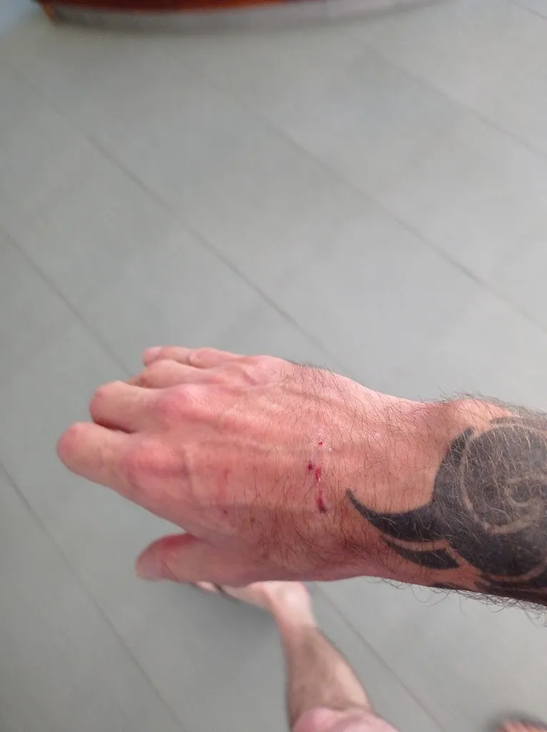 DH C_Hostal Restaurante Carolina_Pedrosillo el Ralo_review