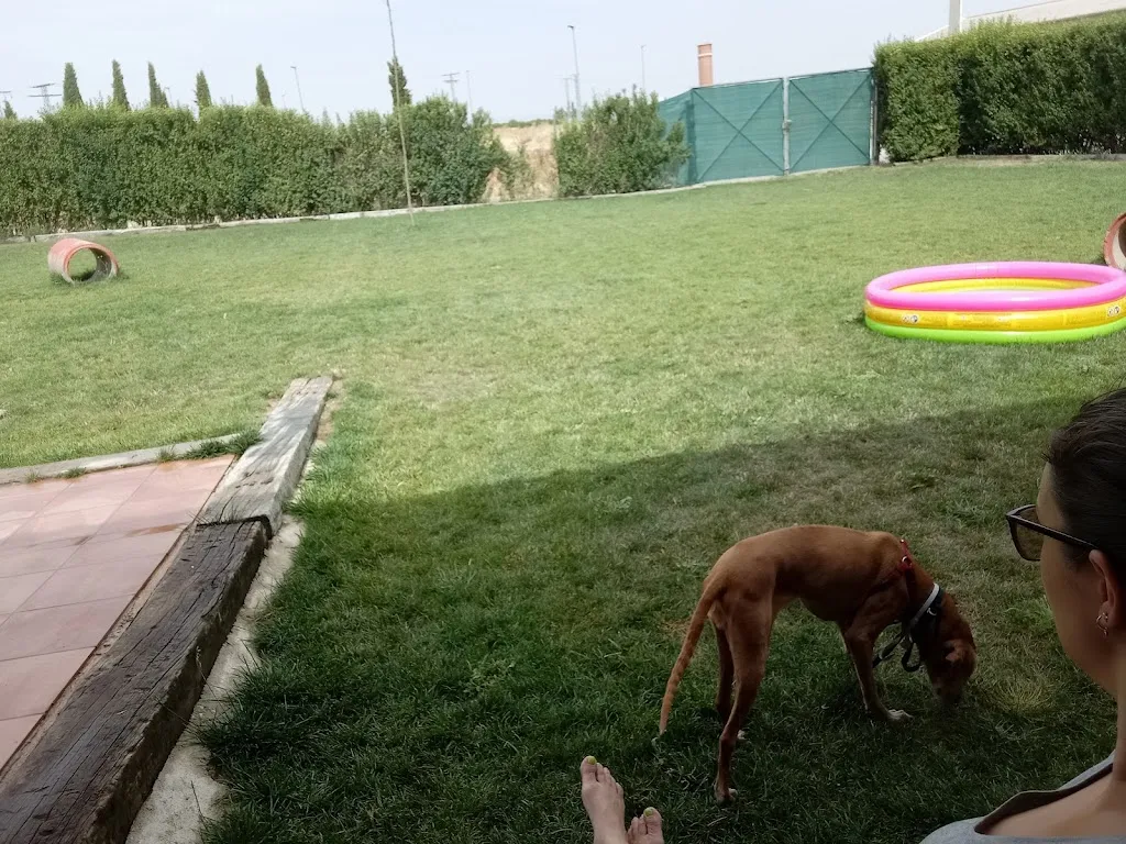 Casa Los Quiñones restaurant in Pedroso de la Armuña El