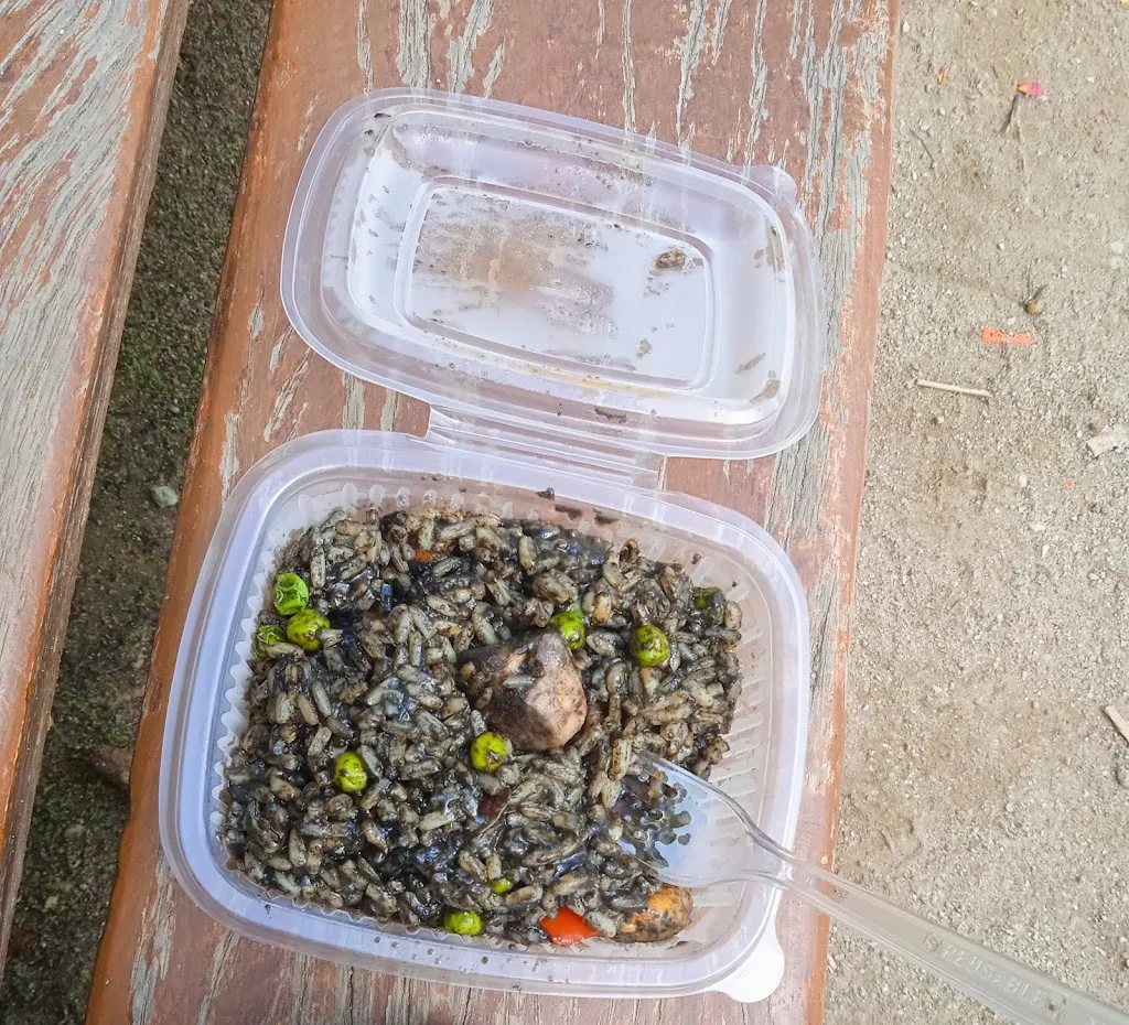 Anuska Martín_Pollo Rico Asador_Pelayos_review