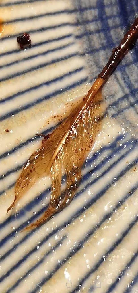 Menu_Restaurante patatín_Pelayos_image_9