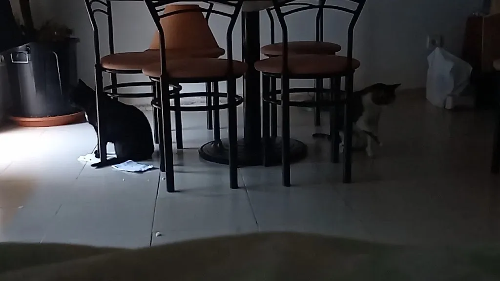 La terraza_Pelayos_slider_image_3