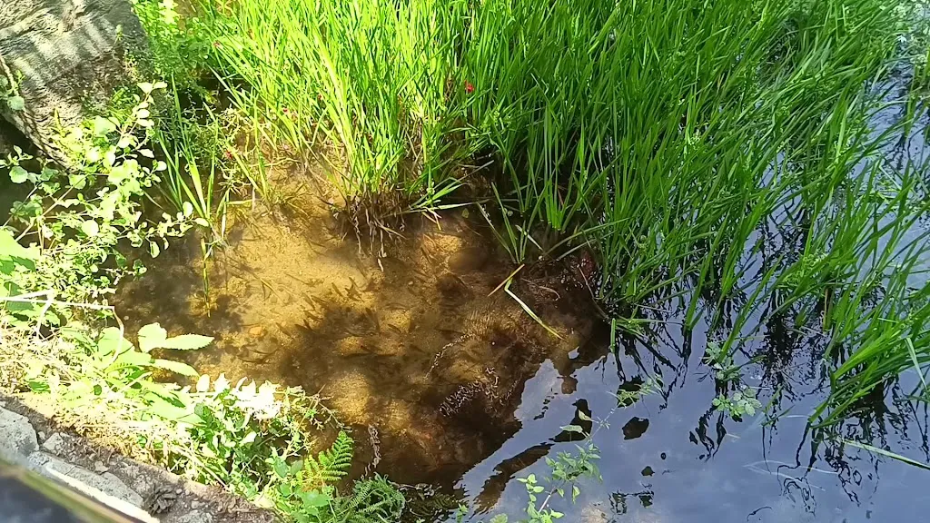 ELMOLINODESANABRIA_Puebla de San Medel_slider_image_2