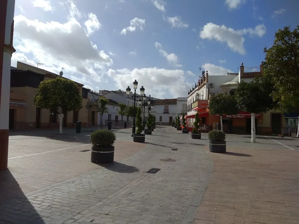 Bar El Pela_Rinconada de la Sierra La_slider_image_3