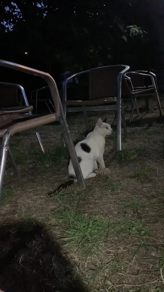 Scott Cleverdon_Abadía de San Martín_San Martín del Castañar_review