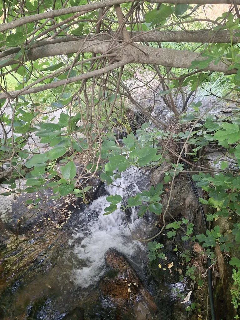 Chema Rodríguez-Calderón_Abadía de San Martín_San Martín del Castañar_review