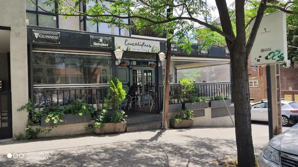 Ignacio Vinuesa_Eucaliptus_San Muñoz_review