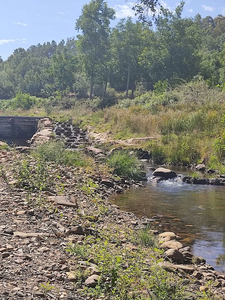 Sara Ruíz_Hotel Restaurante el Pasil CTR_Serradilla del Arroyo_review