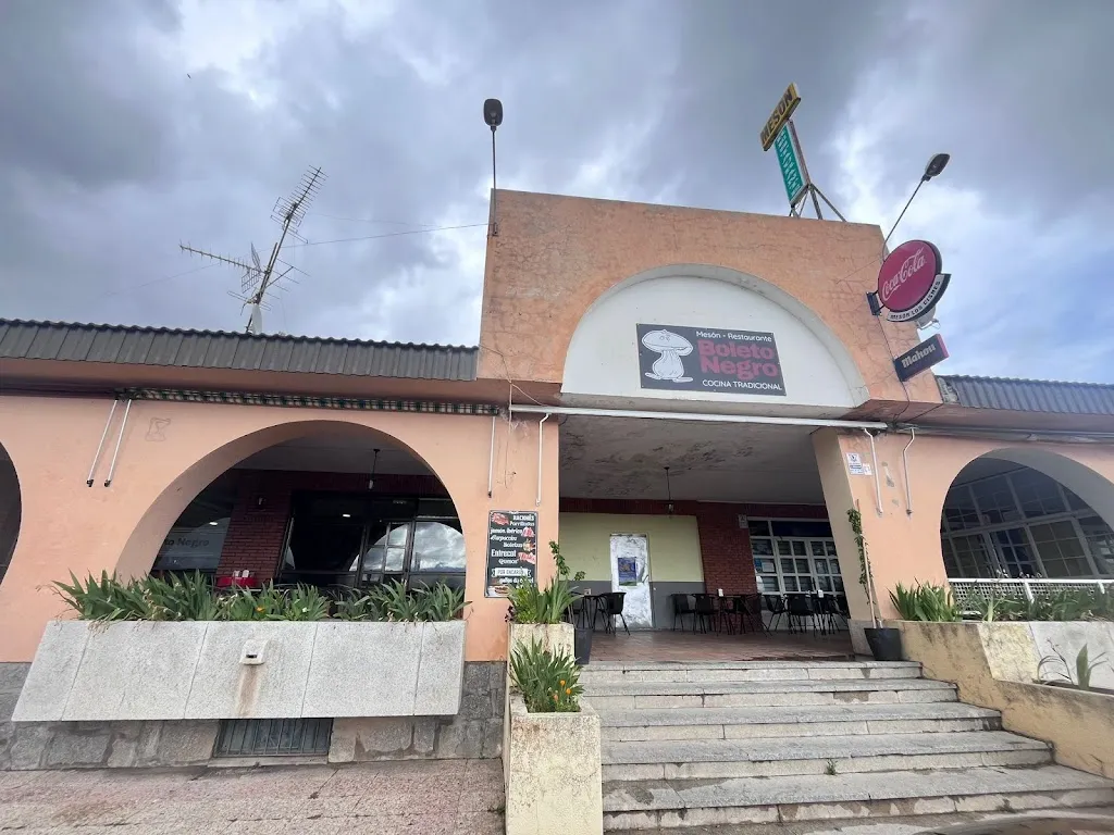 Boleto Negro_Terradillos_slider_image_2